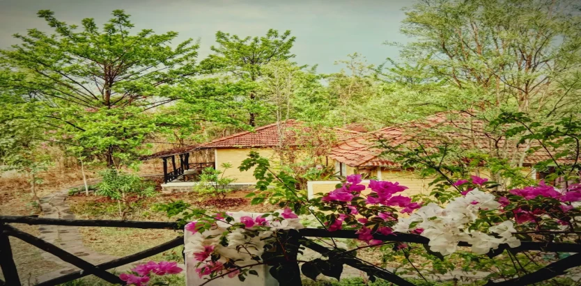 TigerGarh Wildlife Resort